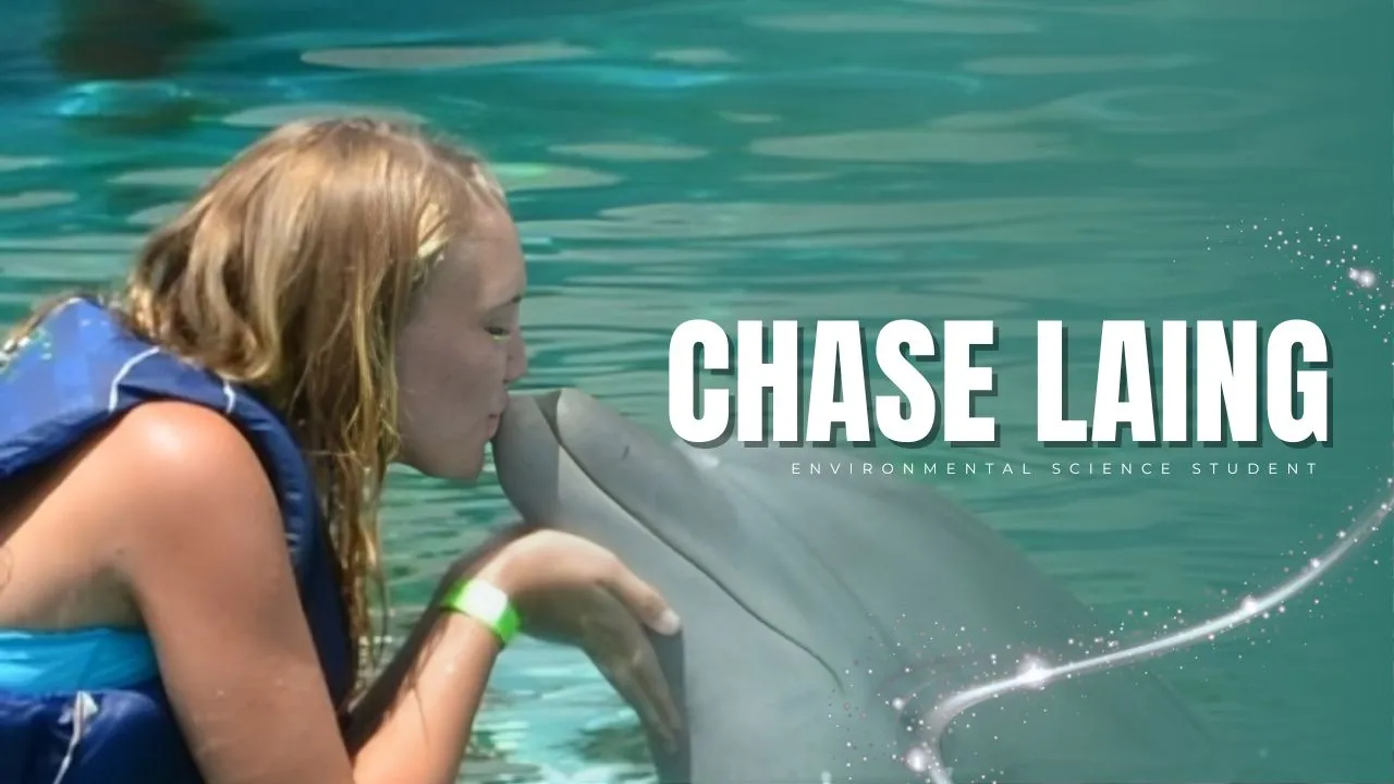 Chase Laing