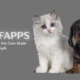 Woofapps