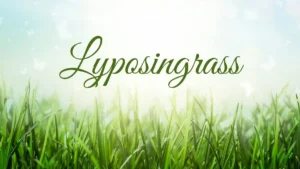 Lyposingrass